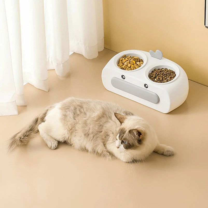 Why Every Pet Needs the Duck Design Pet Double Feeding Bowl Tray Set